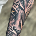 tiger